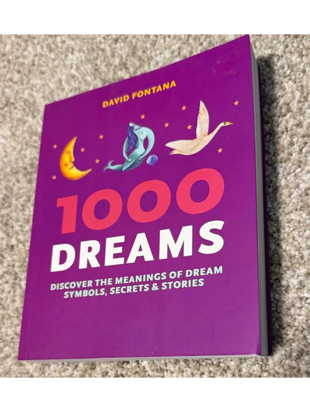 1000 Dreams by David Fontana